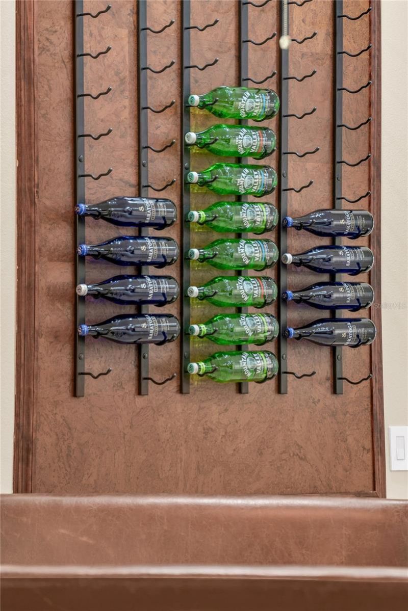 9806 Mountain Lake Drive , Orlando, FL 32832 Photo