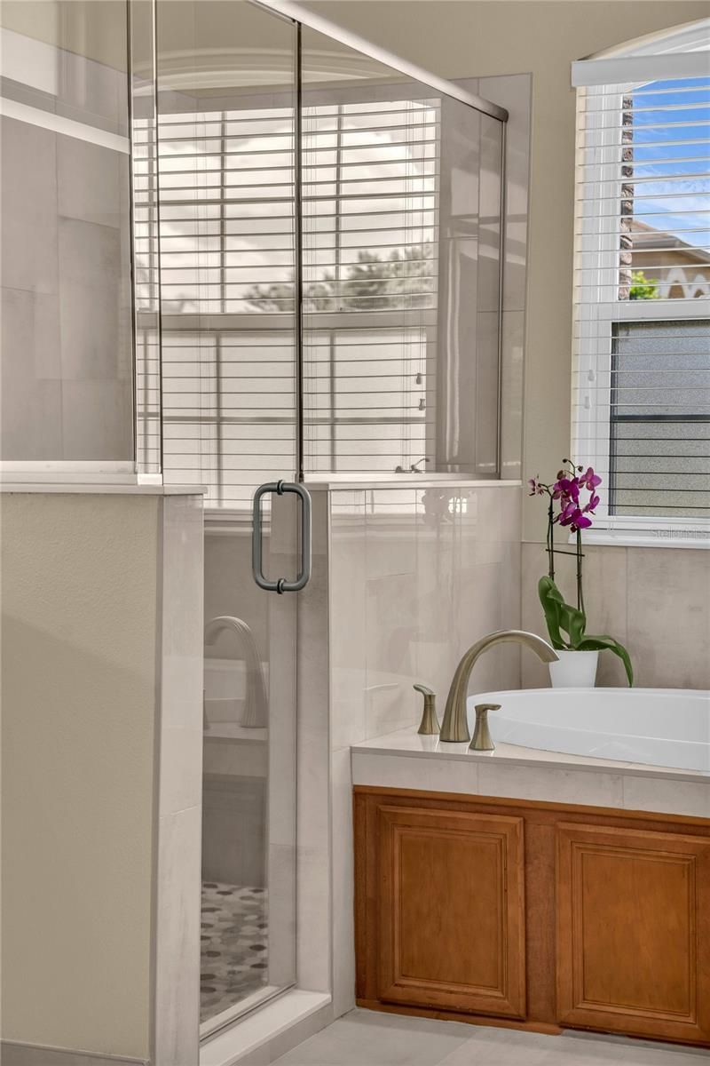 9806 Mountain Lake Drive , Orlando, FL 32832 Photo