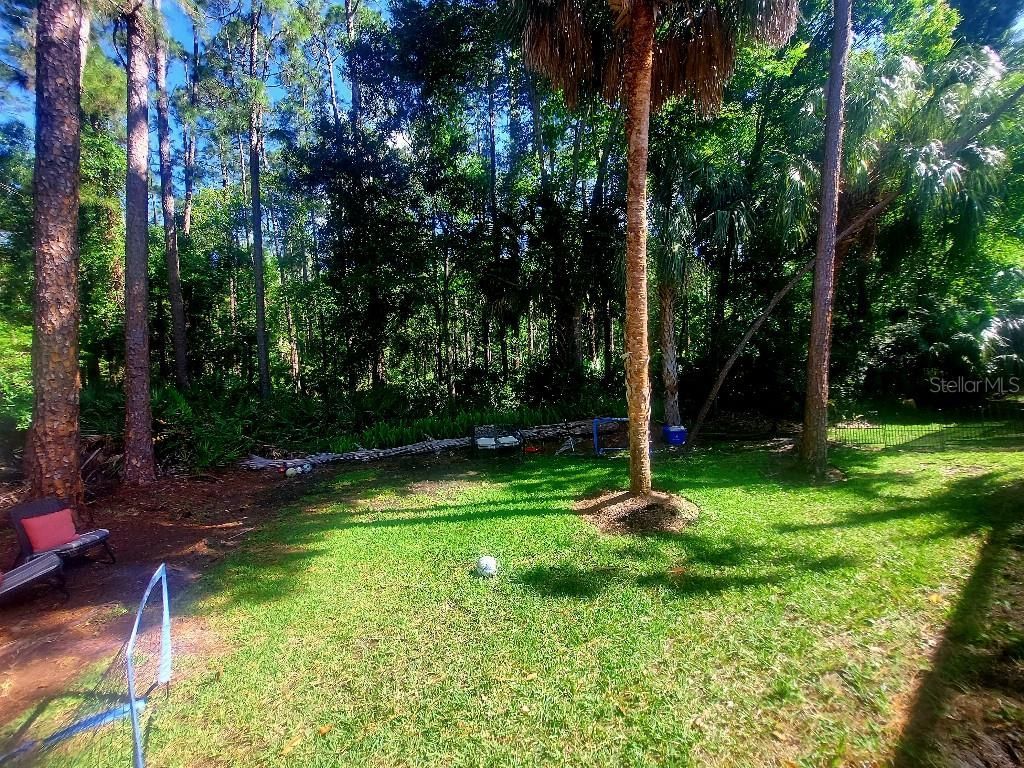 9820 Gretna Green Drive, Tampa, FL 33626 Photo
