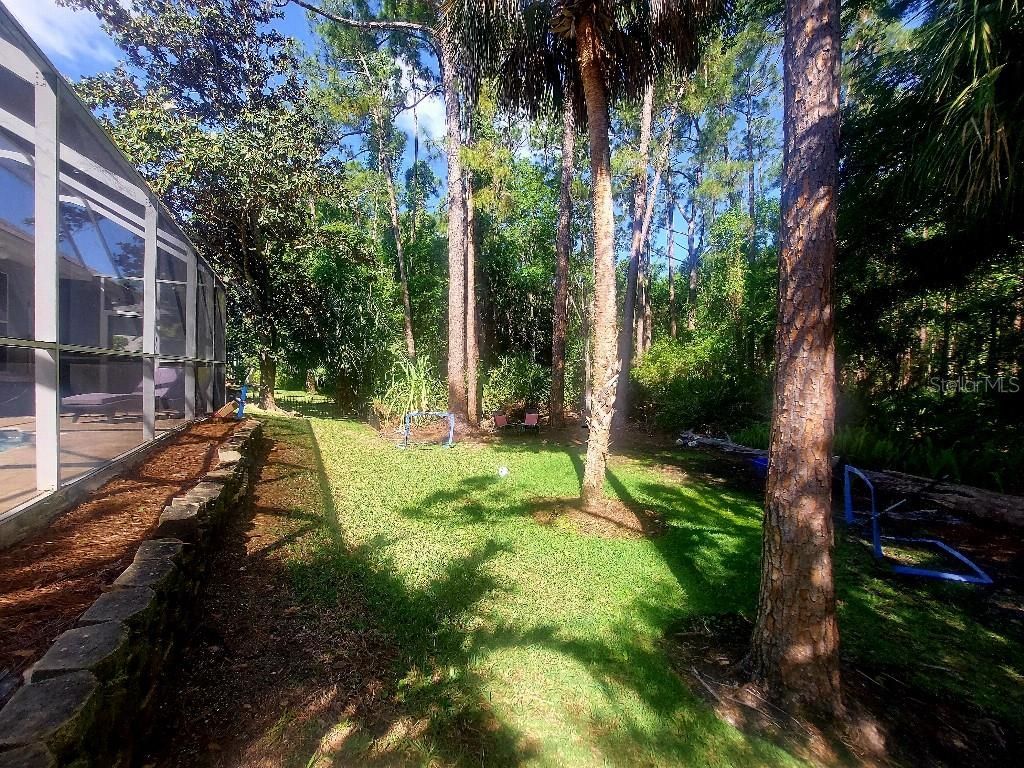 9820 Gretna Green Drive, Tampa, FL 33626 Photo