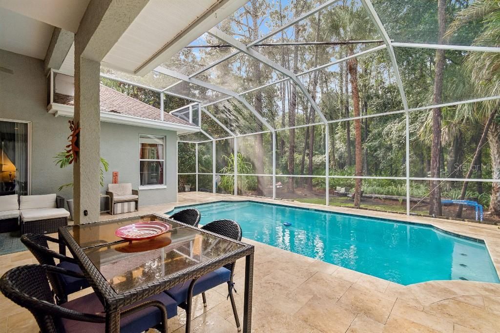 9820 Gretna Green Drive, Tampa, FL 33626 Photo