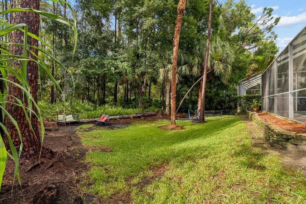 9820 Gretna Green Drive, Tampa, FL 33626 Photo