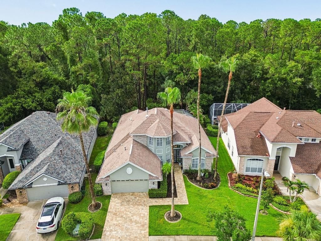 9820 Gretna Green Drive, Tampa, FL 33626 Photo