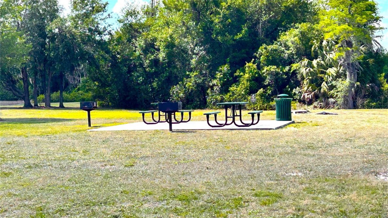 13814 Bee Tree Court, Hudson, FL 34669 Photo