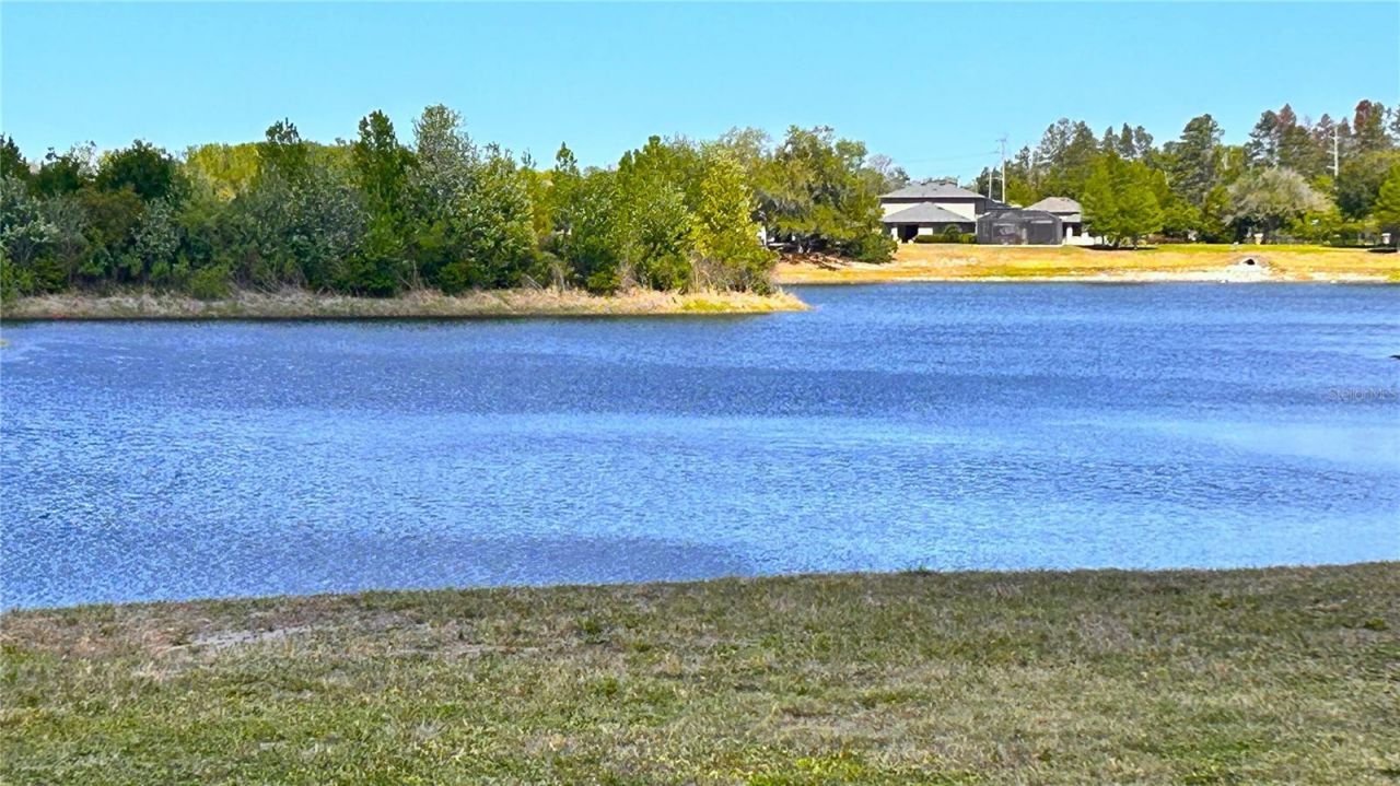 13814 Bee Tree Court, Hudson, FL 34669 Photo