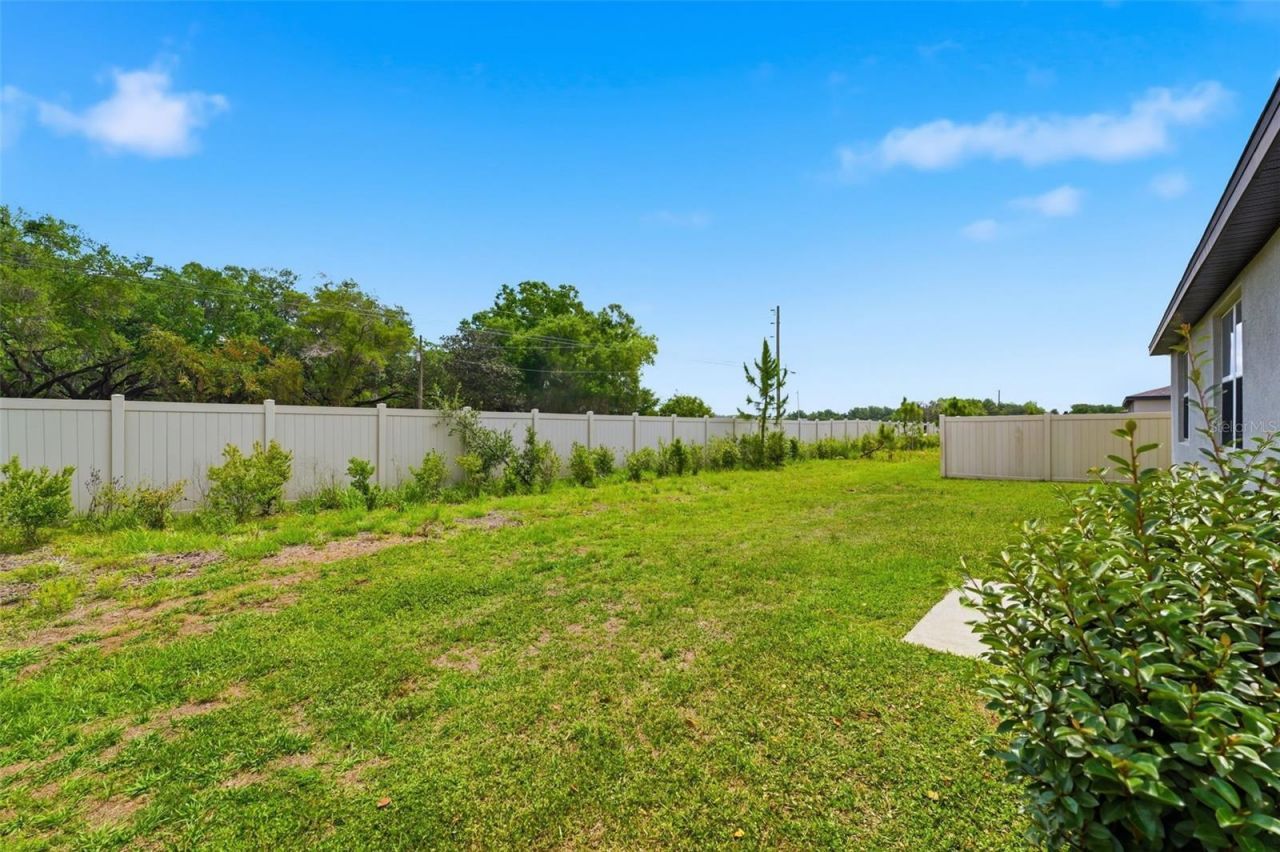 38905 Harlow Rose Drive , Zephyrhills, FL 33540 Photo