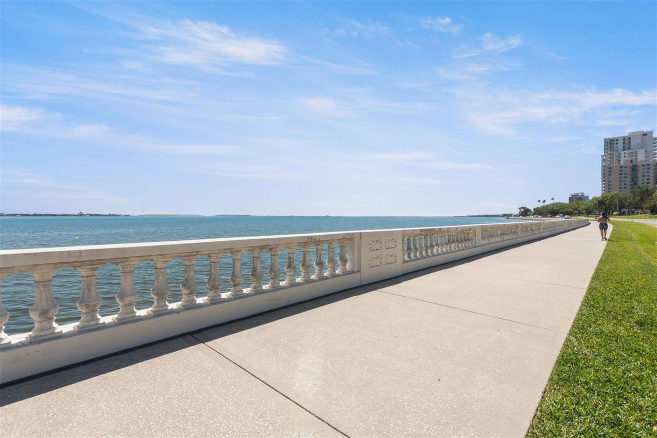 3325 Bayshore Boulevard, Unit D11, Tampa, FL 33629 Photo
