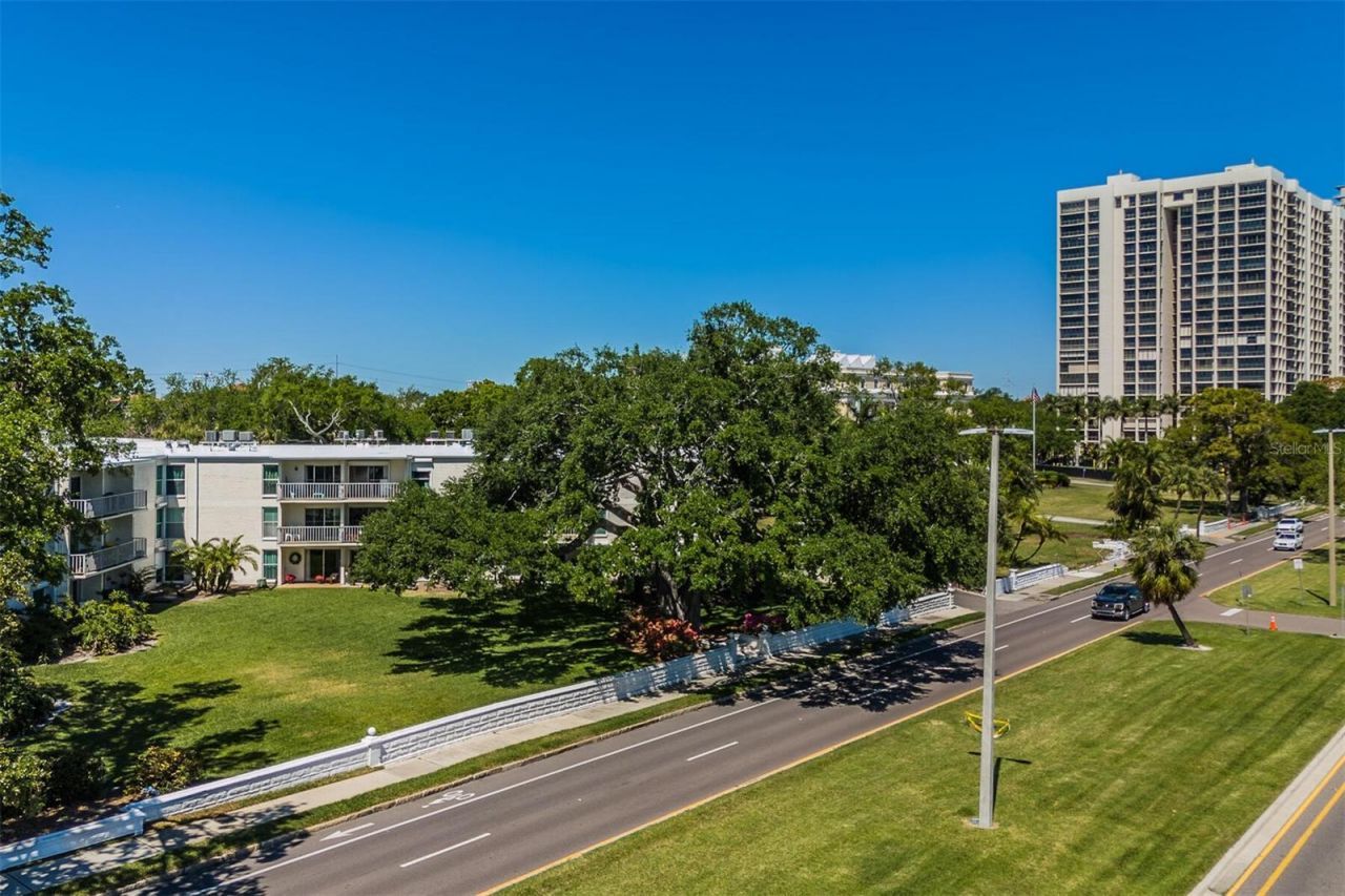 3325 Bayshore Boulevard, Unit D11, Tampa, FL 33629 Photo
