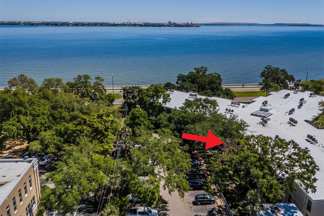 3325 Bayshore Boulevard, Unit D11, Tampa, FL 33629 Photo