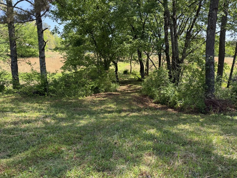 Property Image 61