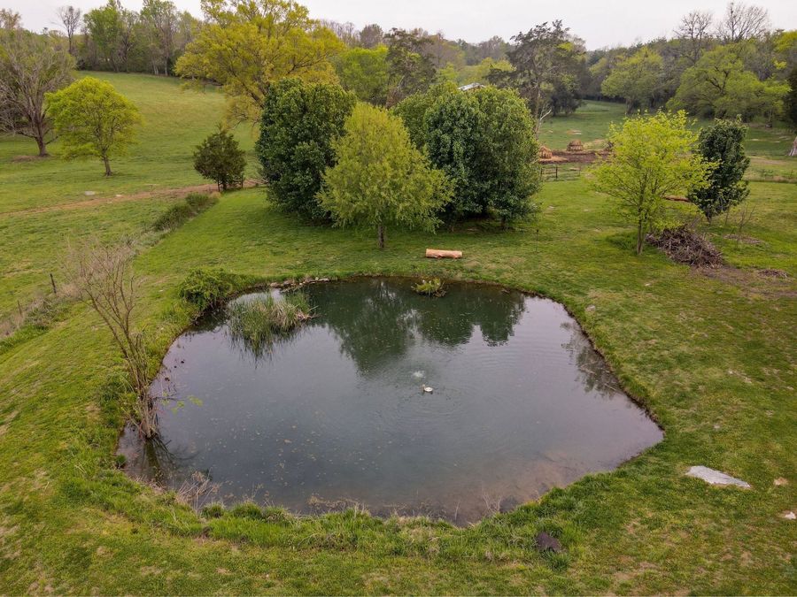 Property Image 81
