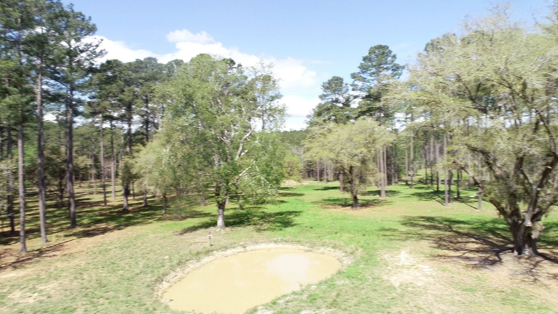 1267 School Bus Rd  Photo 17