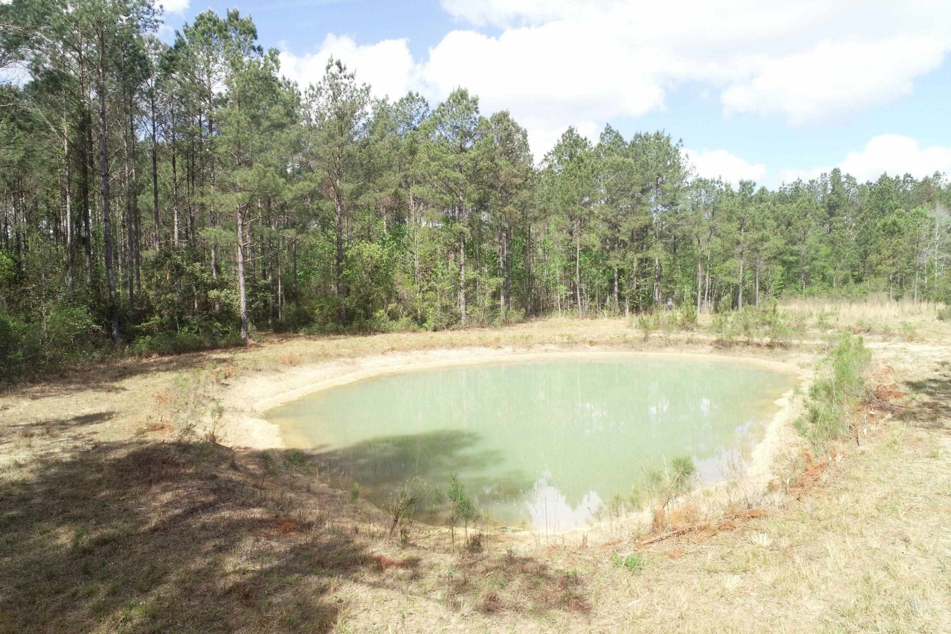 1267 School Bus Rd  Photo 18