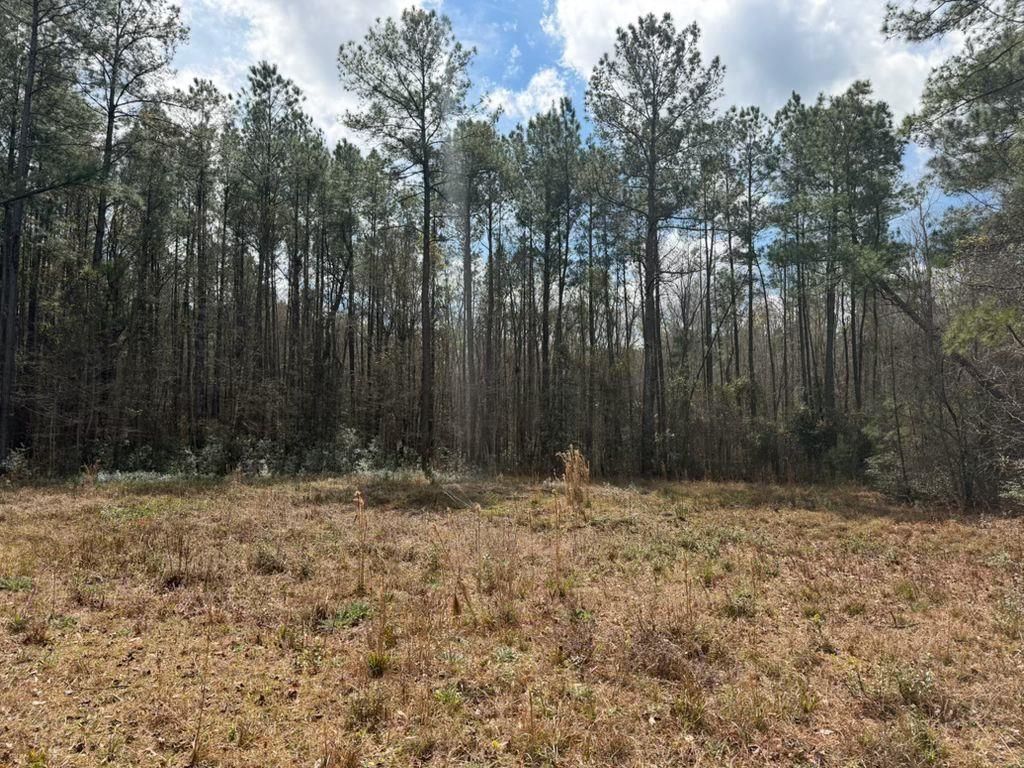 1267 School Bus Rd  Photo 19