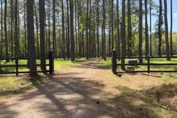 1267 School Bus Rd  photo 4