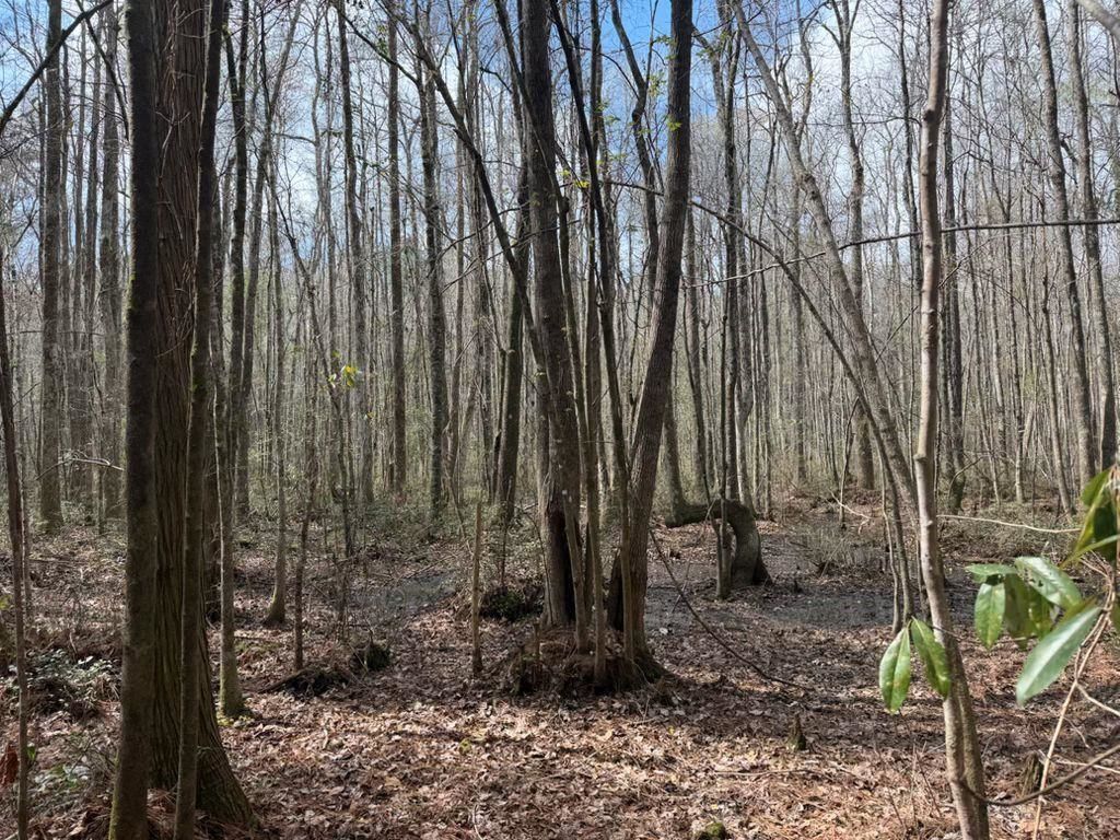 1267 School Bus Rd  Photo 20