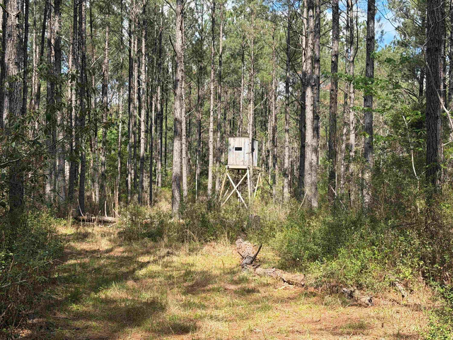 1267 School Bus Rd  Photo 21