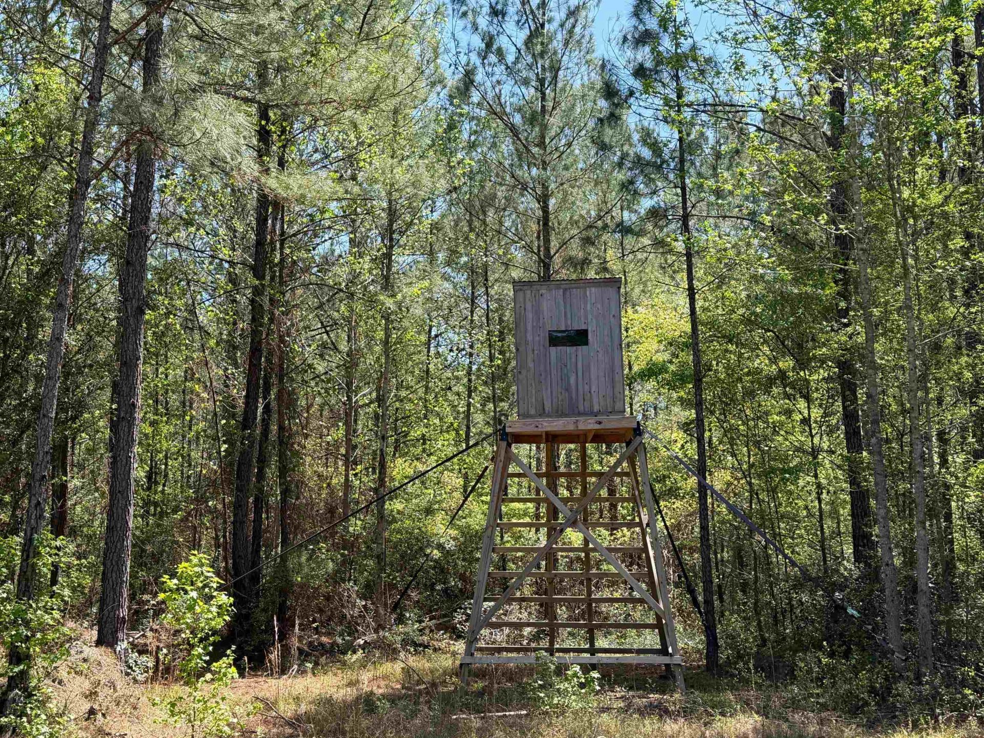 1267 School Bus Rd  Photo 23