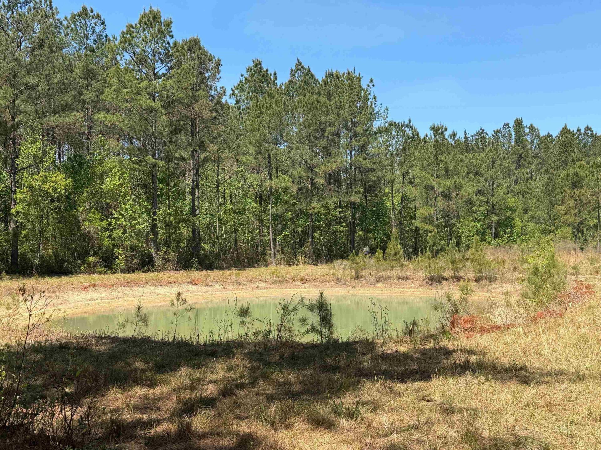 1267 School Bus Rd  Photo 24