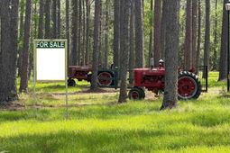 1267 School Bus Rd  photo 4