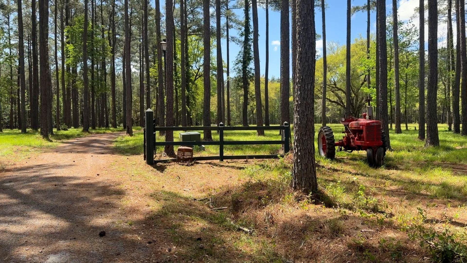 1267 School Bus Rd  Photo 4