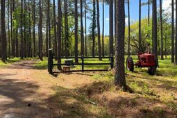 1267 School Bus Rd  photo 4