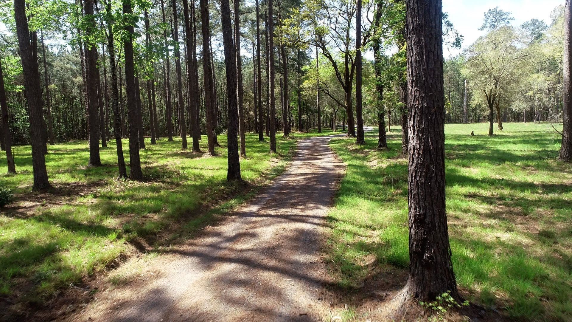 1267 School Bus Rd  Photo 5