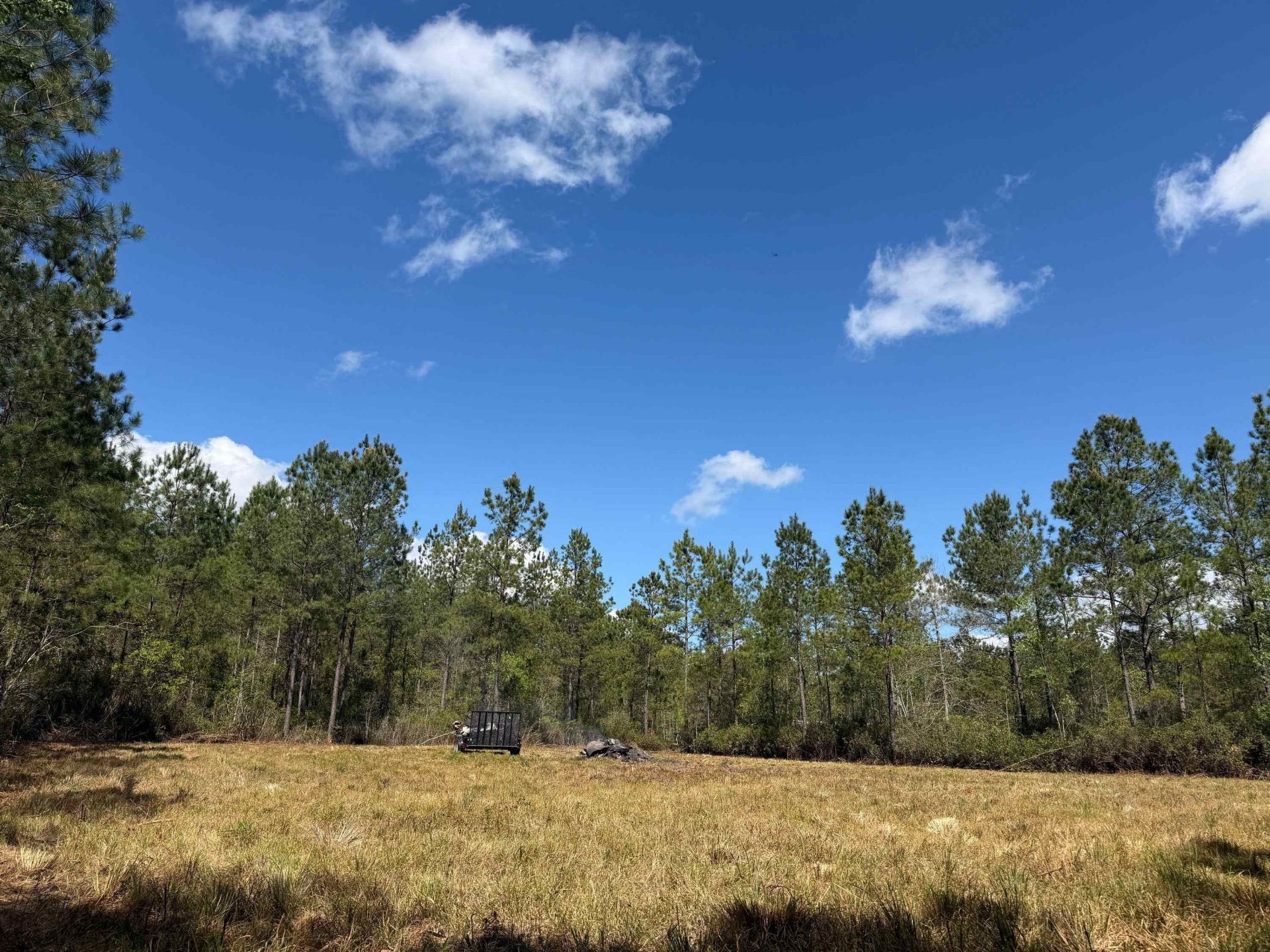 1267 School Bus Rd  Photo 8