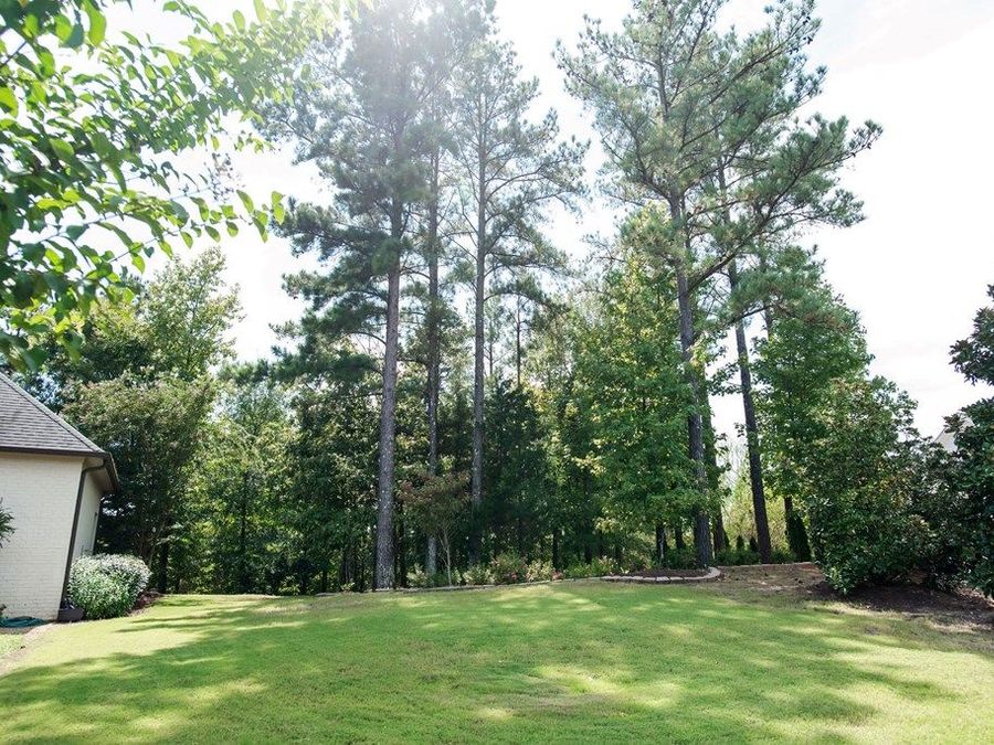 Property Image 59