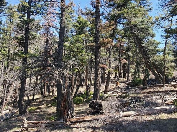 Lot 5802 Tagge Road, San Luis, CO 81152