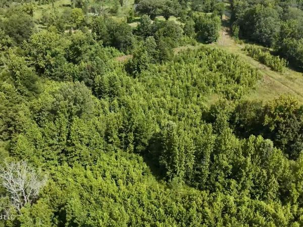 0 Chapel Hill Road, Utica, MS 39175