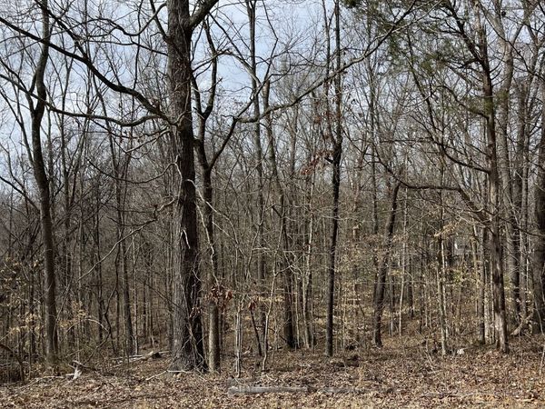 0 Ussery Road S , Clarksville, TN 37040