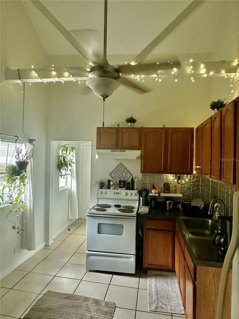 310 21st Avenue S, Saint Petersburg, FL 33705 Photo