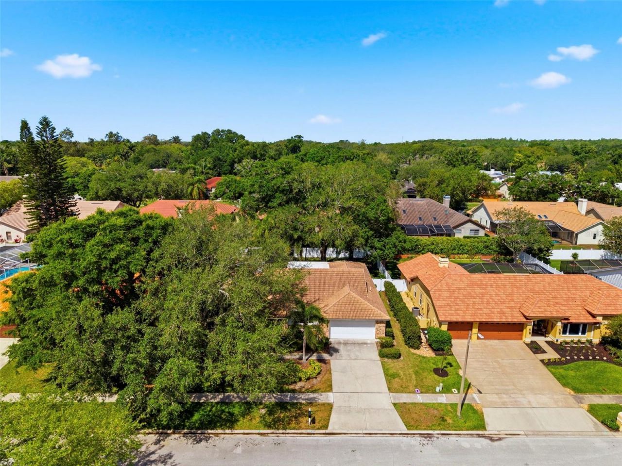 2418 Anthony Avenue , Clearwater, FL 33759 Photo