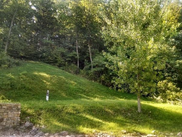 329 Berg Crossing Drive , Augusta, MO 63332