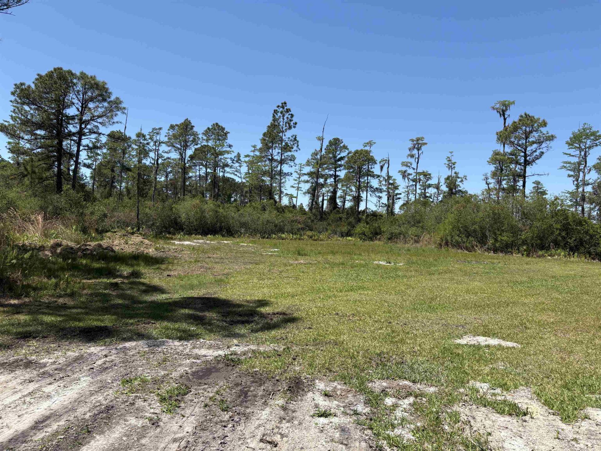 237 SW Wabasso Terrace , Greenville, FL 32331 Photo