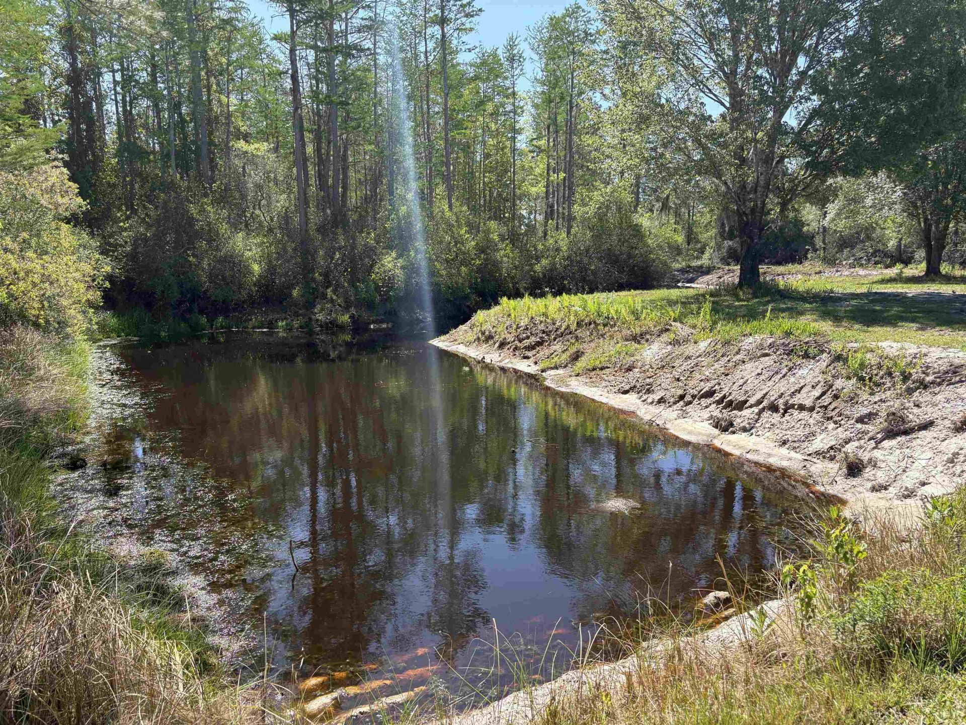 237 SW Wabasso Terrace , Greenville, FL 32331 Photo