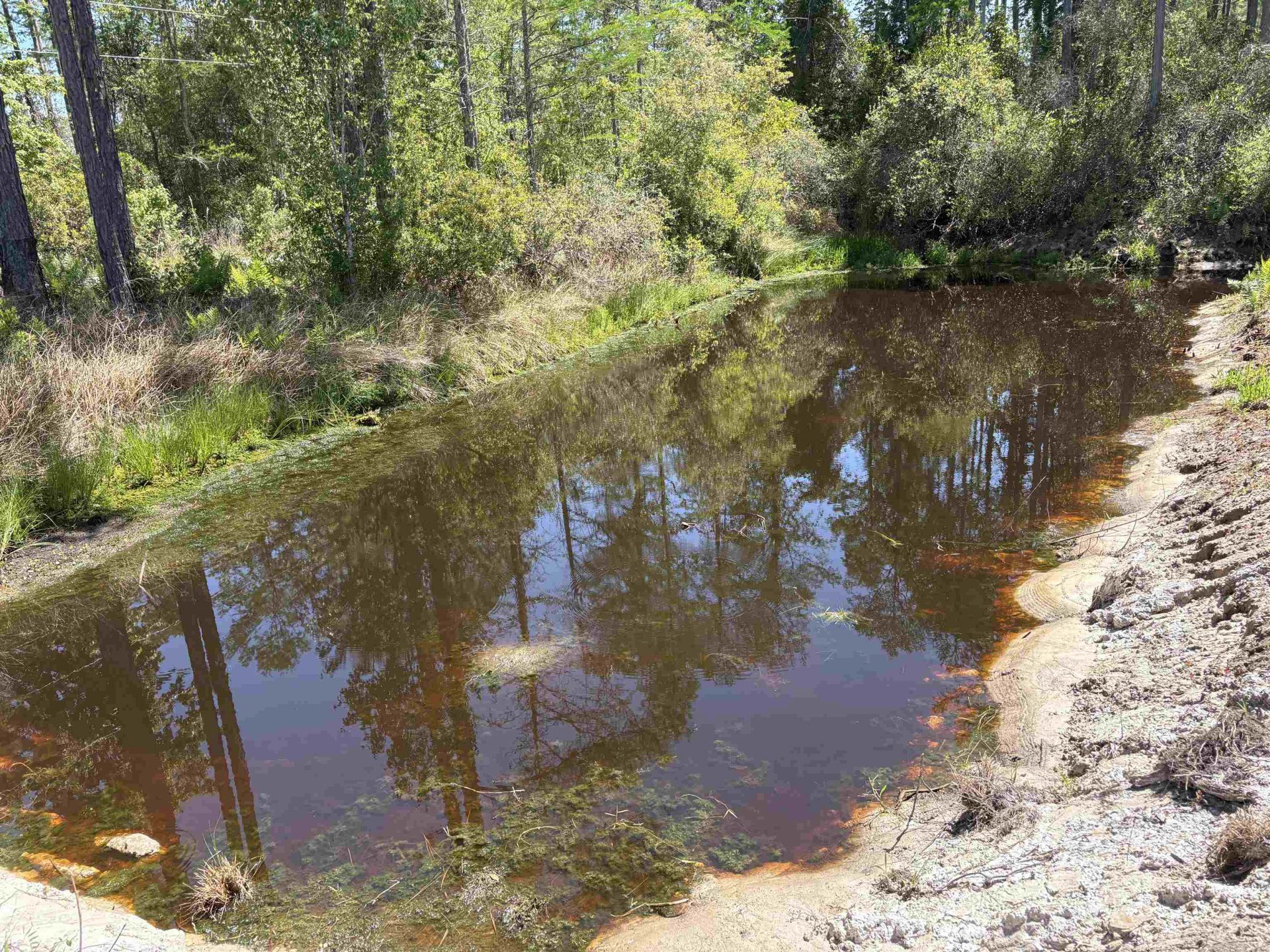 237 SW Wabasso Terrace , Greenville, FL 32331 Photo