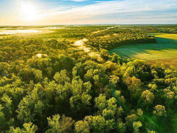 280 FIELDS RD, Dukedom, TN 38226