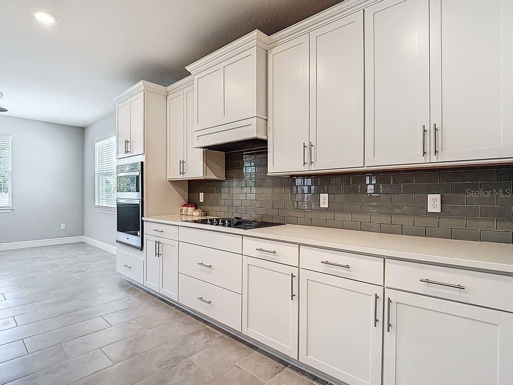 23278 Scaglione Drive, Lutz, FL 33549 Photo