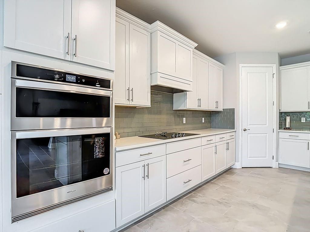 23278 Scaglione Drive, Lutz, FL 33549 Photo