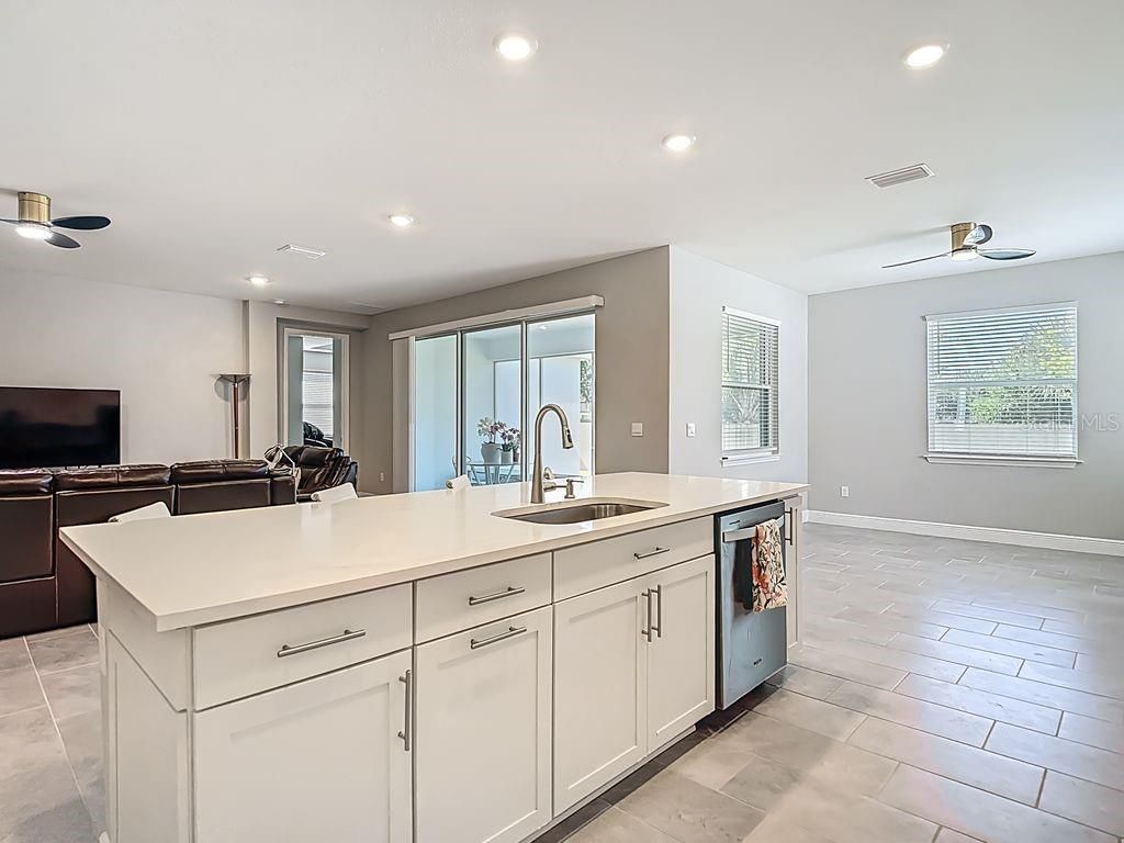 23278 Scaglione Drive, Lutz, FL 33549 Photo