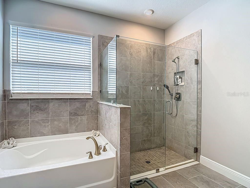 23278 Scaglione Drive, Lutz, FL 33549 Photo