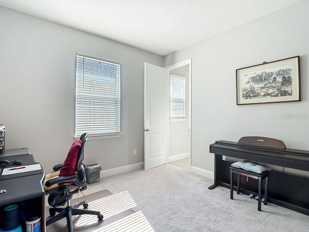 23278 Scaglione Drive, Lutz, FL 33549 Photo