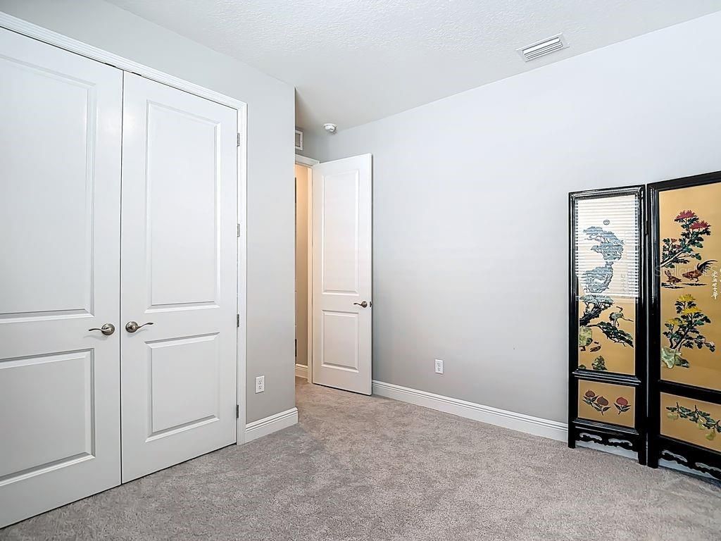 23278 Scaglione Drive, Lutz, FL 33549 Photo