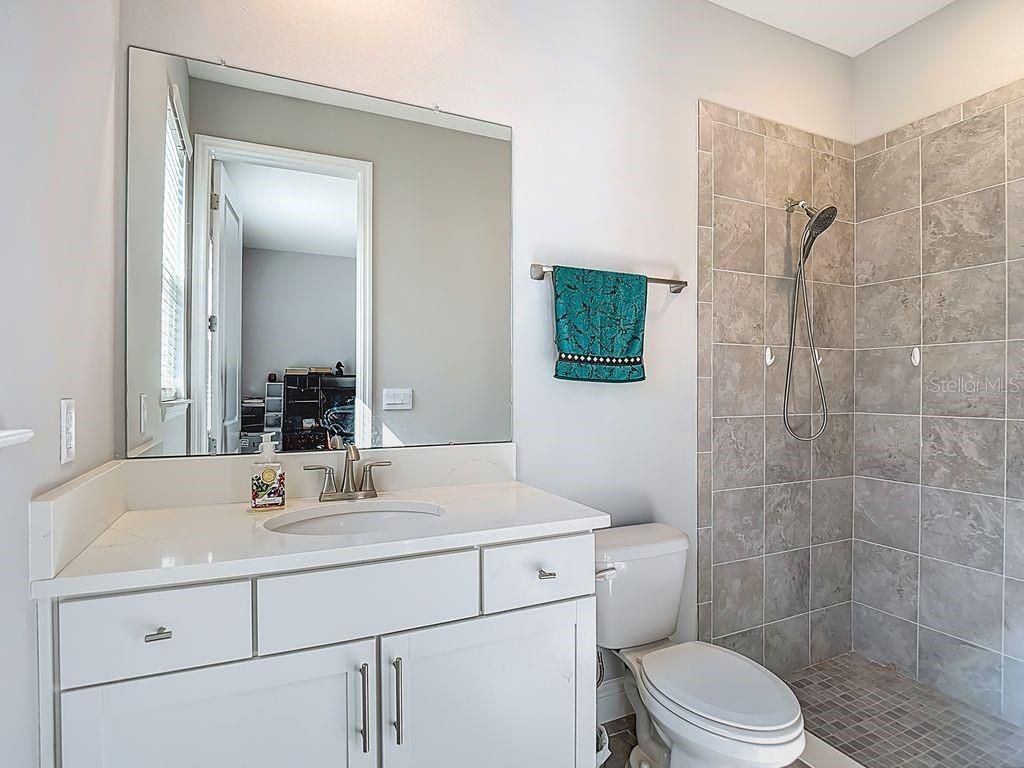 23278 Scaglione Drive, Lutz, FL 33549 Photo