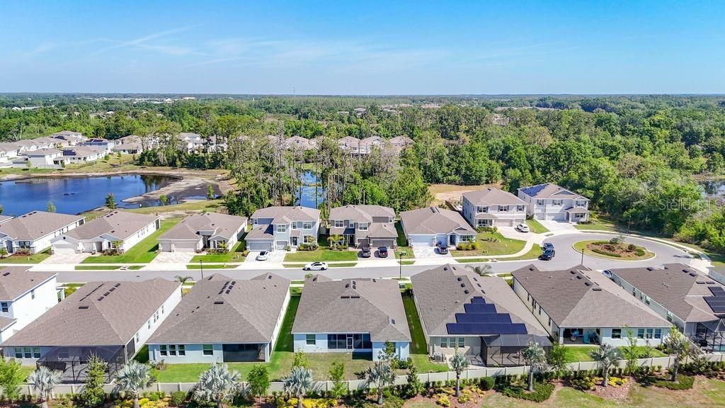 23278 Scaglione Drive, Lutz, FL 33549 Photo