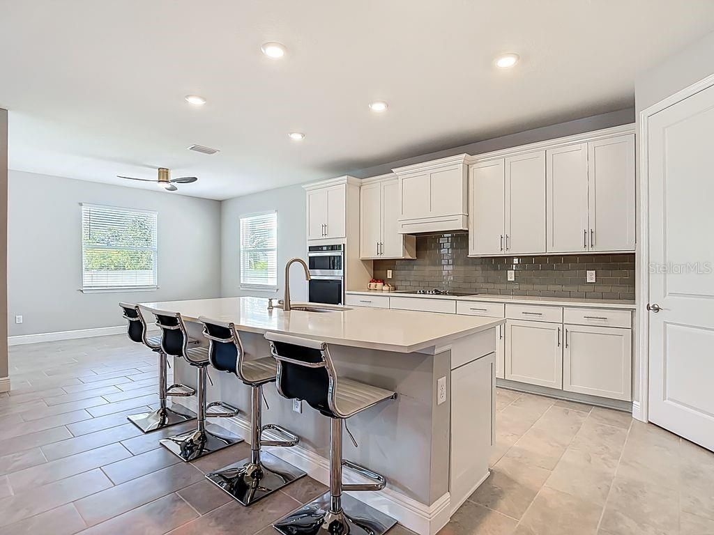 23278 Scaglione Drive, Lutz, FL 33549 Photo