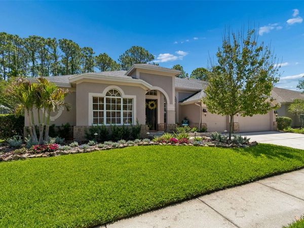 10423 GREENHEDGES DRIVE , TAMPA, FL 33626