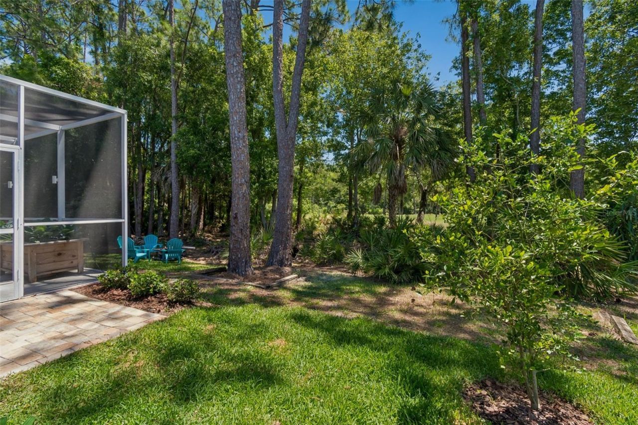 10423 Greenhedges Drive, Tampa, FL 33626 Photo